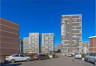 闵行区针织Polo衫价格便宜